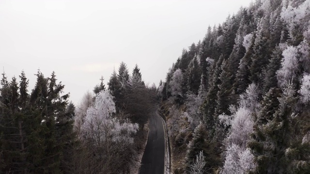 鸟瞰图的汽车驾驶在一个雾天的山区。汽车在弯弯曲曲的道路上行驶，附近有白雪皑皑的树木。慢动作视频素材