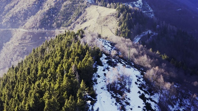 雾山森林空中与冰雪覆盖的树木在冬季无人机飞行建立。冬季森林航空视频素材