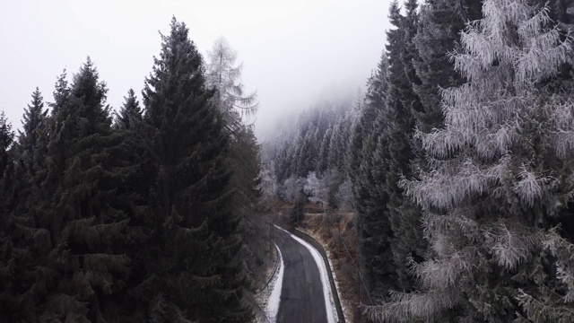 鸟瞰图的汽车驾驶在一个雾天的山区。汽车在弯弯曲曲的道路上行驶，附近有白雪皑皑的树木。慢动作视频素材