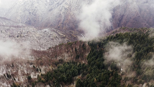 积雪的松林在多云的恶劣天气中架空。雾山森林与冰霜覆盖的树木在冬季无人机飞行建立。视频素材