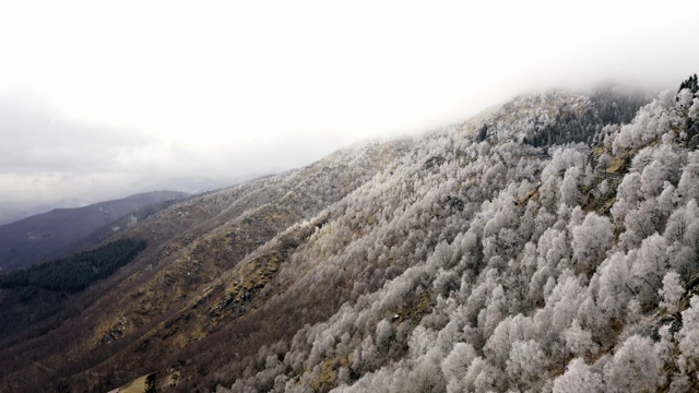 鸟瞰图的积雪覆盖的森林。山岸鸟瞰图，多云多雾的秋天时间。慢动作视频素材