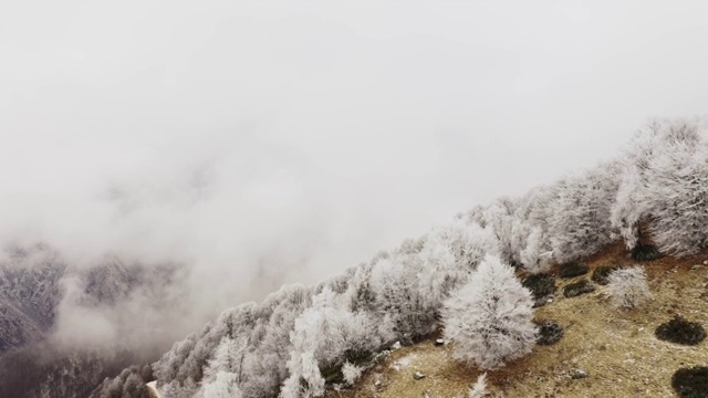 鸟瞰图的一个多色，变化和雾山景观。20、山顶的树被雪覆盖，地上没有雪。慢动作视频素材