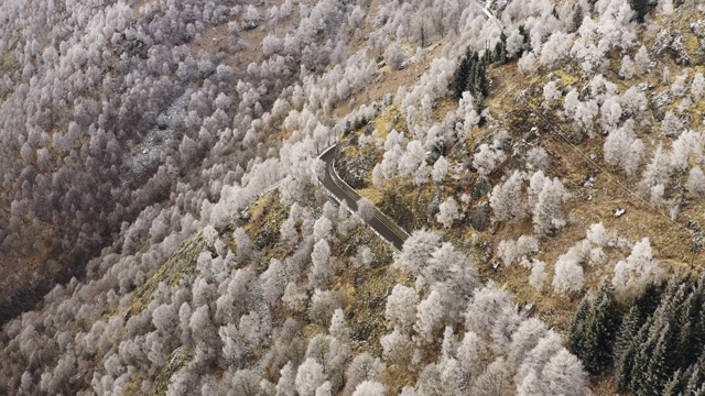 鸟瞰图雪覆盖的树木在山区海岸在秋天瑞士。阳光照亮了彩色的风景。弯弯曲曲的道路切断了荒野的风景。慢动作视频素材