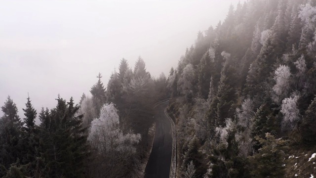 鸟瞰图的汽车驾驶在一个雾天的山区。汽车在弯弯曲曲的道路上行驶，附近有白雪皑皑的树木。慢动作视频素材