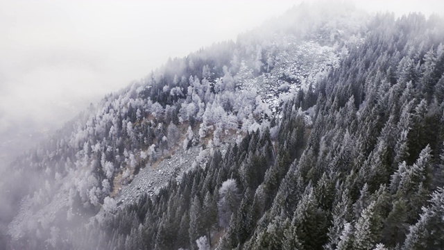 白雪皑皑的树木山升云雾架空。雾山森林与冰霜覆盖的树木在冬季无人机飞行建立。视频素材