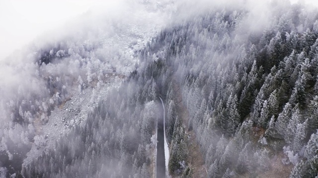 路近雪山松林后架空在多云的恶劣天气。雾山森林与冰霜覆盖的树木在冬季无人机飞行建立。视频素材