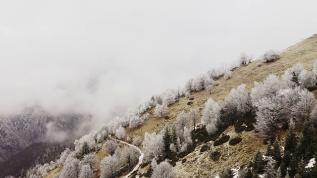 鸟瞰图的一个多色和变化的山区景观。山顶上绿油油的森林和白雪覆盖的树木，地上没有雪。慢动作视频素材