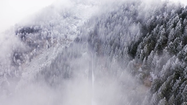 路近雪山松林后架空在多云的恶劣天气。雾山森林与冰霜覆盖的树木在冬季无人机飞行建立。视频素材