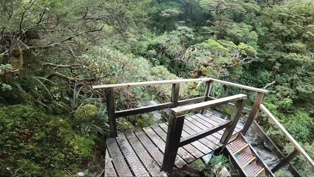 Boardwalk上的楼梯，Anderson Cascades, Milford Track视频下载