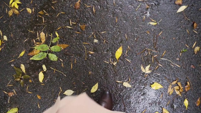 女人走在秋天的公园里，踩着雨后的落叶。俯视图视频素材