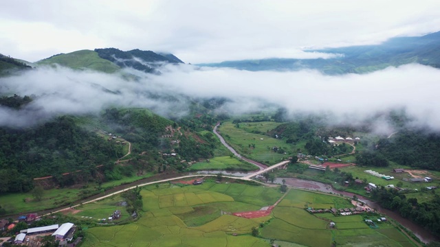 鸟瞰图无人机飞越海雾与稻田在山区，泰国南。视频素材