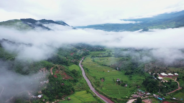鸟瞰图无人机飞越海雾与稻田在山区，泰国南。视频素材