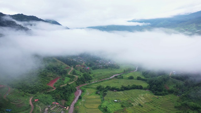 鸟瞰图无人机飞越海雾与稻田在山区，泰国南。视频素材