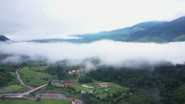 鸟瞰图无人机飞越海雾与稻田在山区，泰国南。视频素材