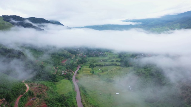 鸟瞰图无人机飞越海雾与稻田在山区，泰国南。视频素材