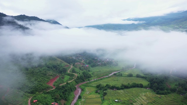 鸟瞰图无人机飞越海雾与稻田在山区，泰国南。视频素材