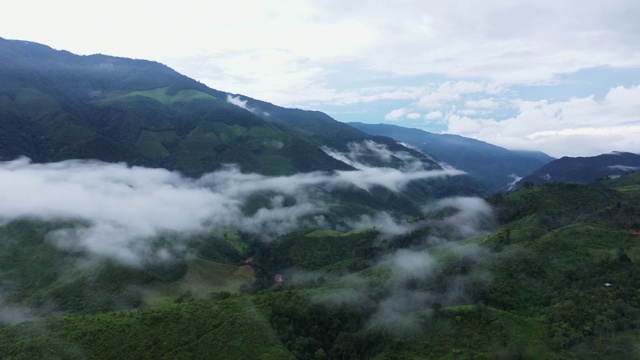 鸟瞰图无人机飞越海雾与稻田在山区，泰国南。视频素材