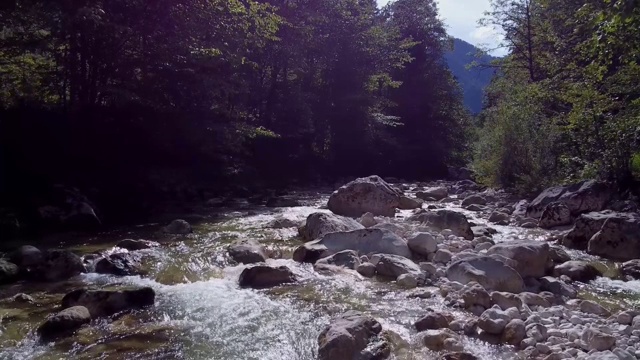 小高山河流，飞过岩石，绿色河岸与落叶树之间，阳光反射视频素材