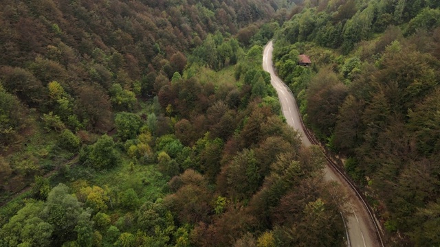 在塞尔维亚的斯特拉平原-路到老山旅游目的地在雾天与森林树木在秋天-旅游旅程和度假概念视频素材