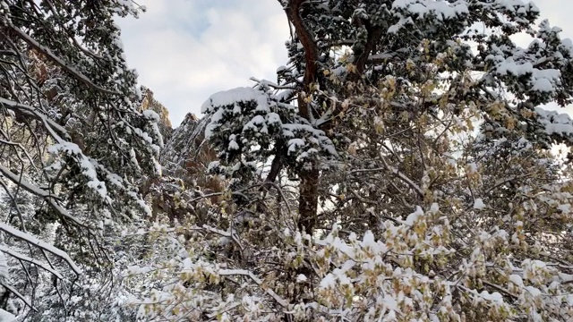 科罗拉多州博尔德市附近新下的雪覆盖了大地视频素材