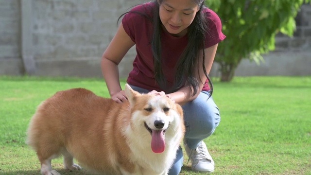 慢动作年轻迷人的亚洲女人与她的柯基狗户外绿地阳光灿烂的一天愉快。户外休闲休闲活动理念。视频素材