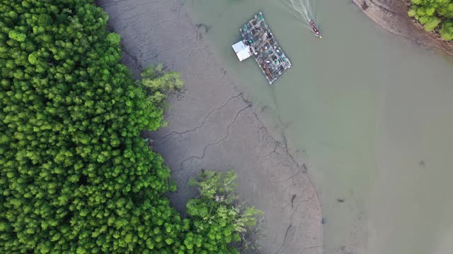 泰国:泰国攀雅湾热带雨林河流的鸟瞰图曲线。视频素材