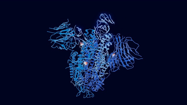 主要突变D614G的SARS-CoV-2棘突蛋白被突出显示，可循环，转盘动画视频素材