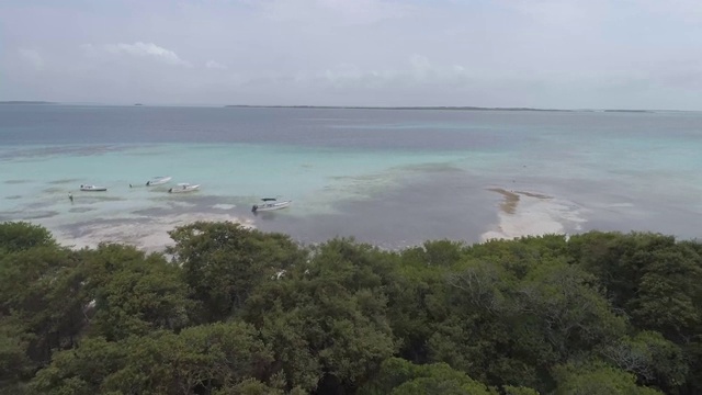 无人机拍摄的加勒比海热带岛屿。红树林栖息地视频素材