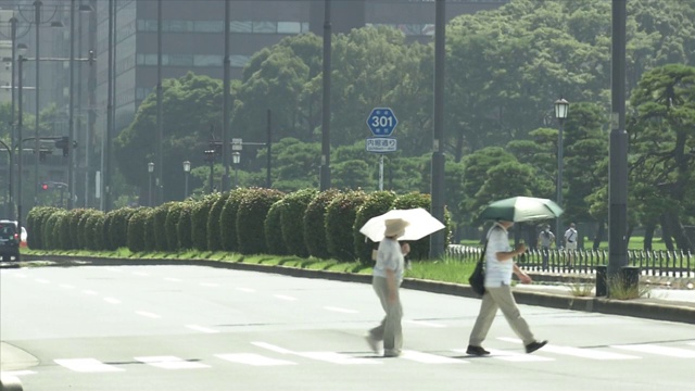 两个带阳伞的行人，东京，日本视频素材