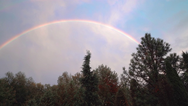 森林上空双彩虹，雨后蓝天。彩色的云。温柔的平移。视频素材