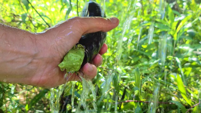 一个男人用手在水里洗熟茄子视频素材