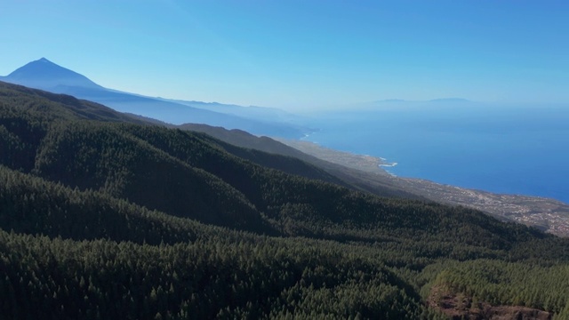 鸟瞰图。特内里费岛上茂密的松树林以泰德火山为背景视频素材