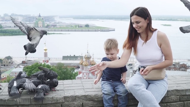 妈妈和她的儿子喂鸽子视频素材