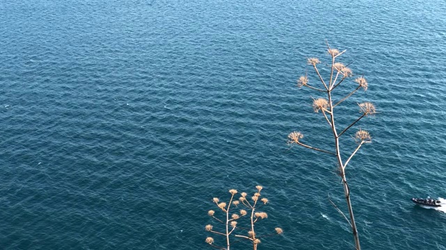 蓝色的大海背景与小波浪视频下载