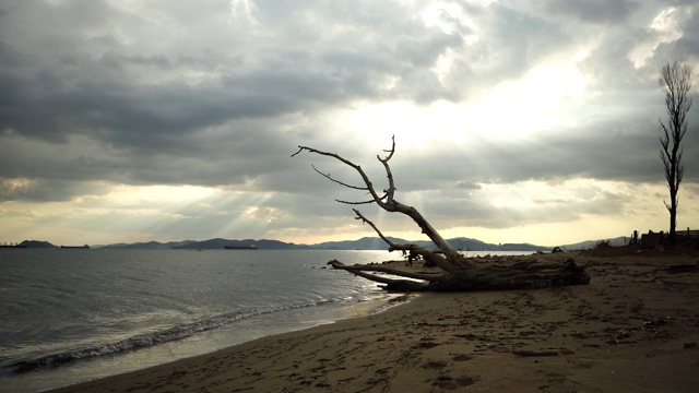 在海湾的岸边有一个障碍的海景。视频素材