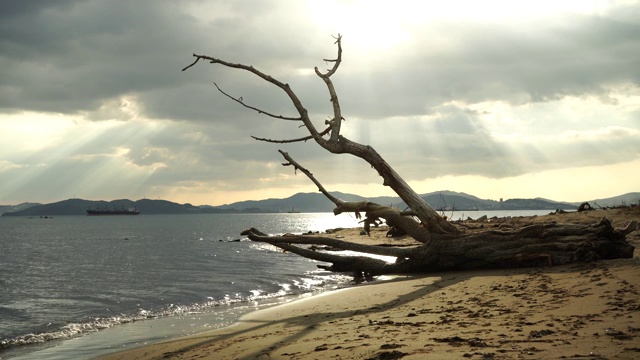 在海湾的岸边有一个障碍的海景。视频素材