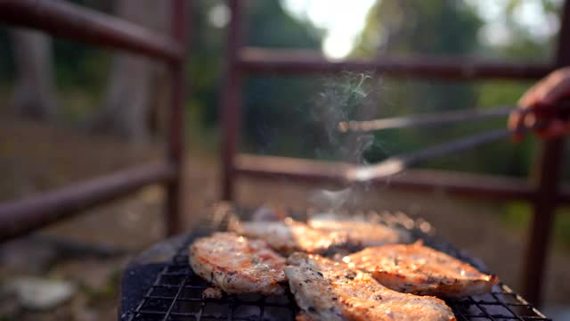 在森林里露营时用热炉烤肉视频素材