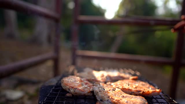 在森林里露营时用热炉烤肉视频素材