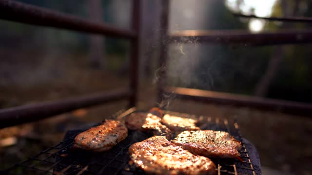 在森林里露营时用热炉烤肉视频素材