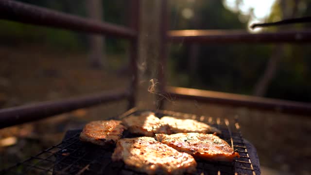 在森林里露营时用热炉烤肉视频素材