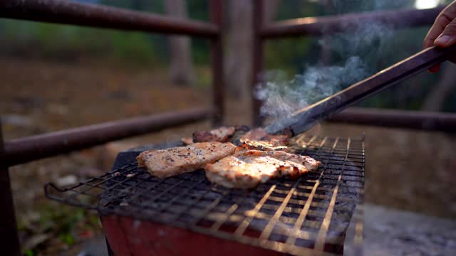 在森林里露营时用热炉烤肉视频素材