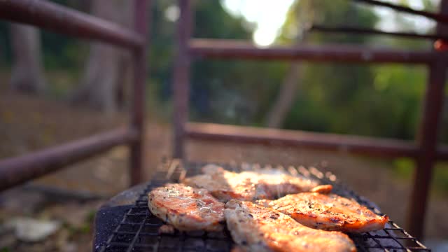 在森林里露营时用热炉烤肉视频素材