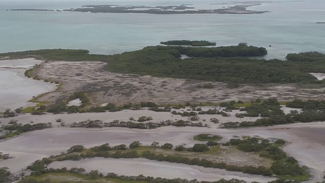 热带红树林岛。空中景观Los-Roques-National-Park-Venezuela视频素材