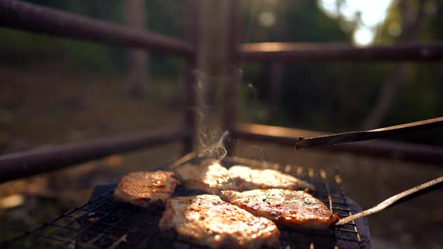 在森林里露营时用热炉烤肉视频素材