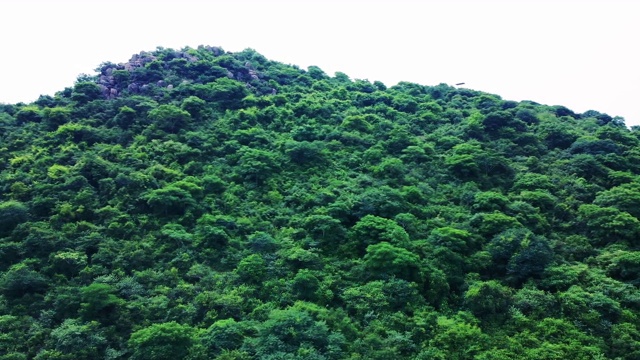 飞过一座绿色的小山视频素材