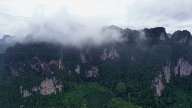 鸟瞰图的山峰和棕榈树与戏剧性的天空视频素材