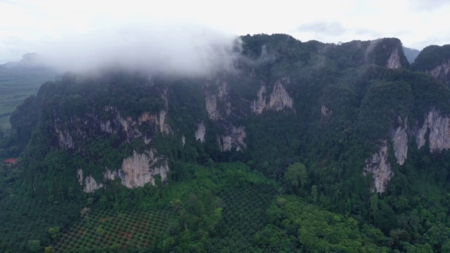 鸟瞰图的山峰和棕榈树与戏剧性的天空视频素材