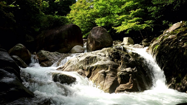 日本山上宁静的瀑布视频素材