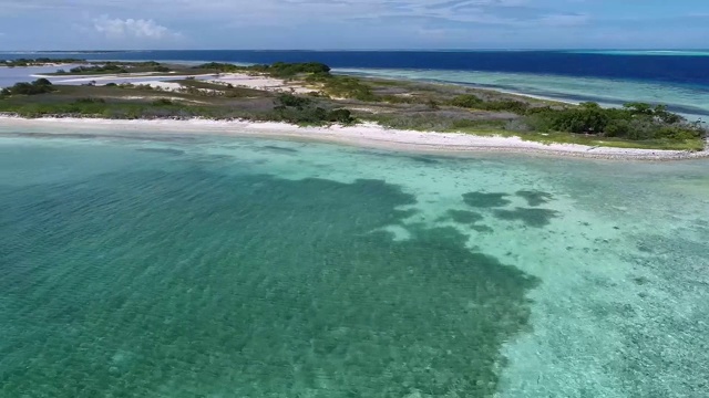 鸟瞰图海滩，礁和浅绿色的水域在加勒比海视频素材