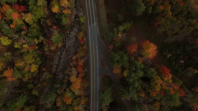 秋天的道路鸟瞰图视频素材